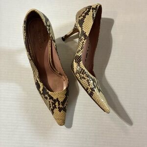 Coach Elegant Snake Print Stilettos